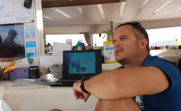 Catamaran, dolphin and diving day for a maximum of fun