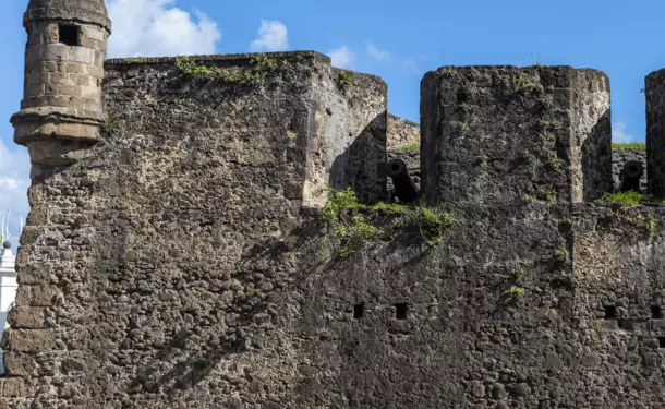 The Saint Louis Fort