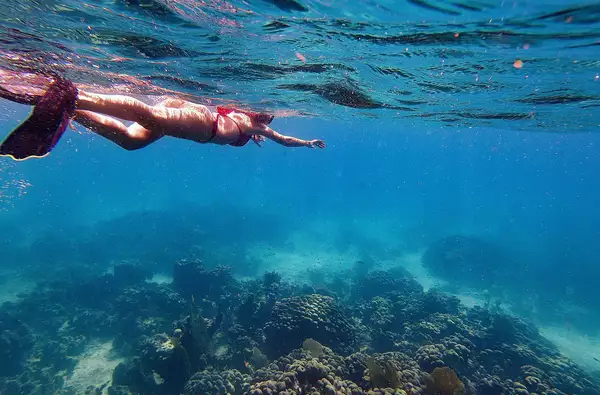 Webbed snorkeling by boat (on the corals)