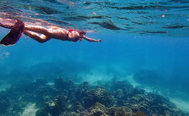 Webbed snorkeling by boat (on the corals)