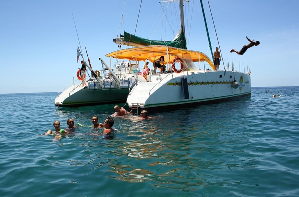 Catamaran and dolphin for a top half day