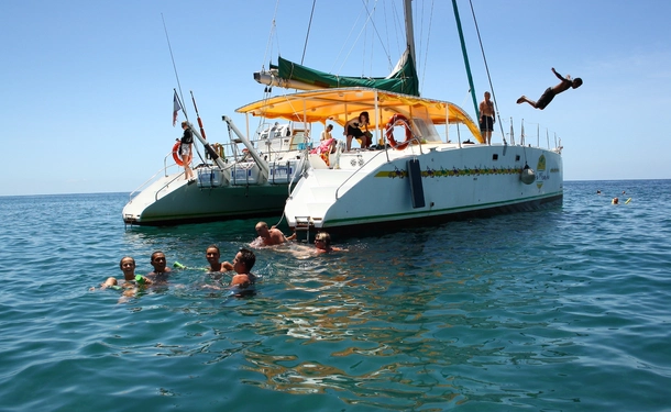 Catamaran et dauphin pour une demi journée tip top