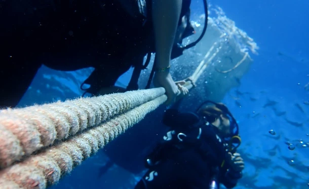 Scuba diving - Discovering the seabed