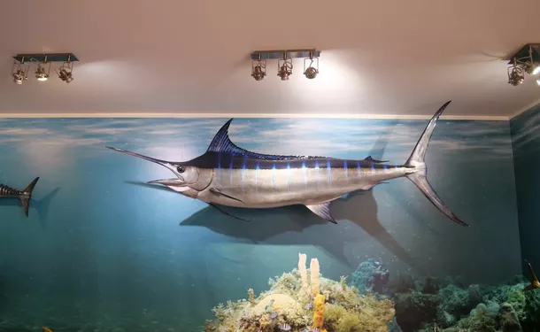 Sea Museum of Martinique