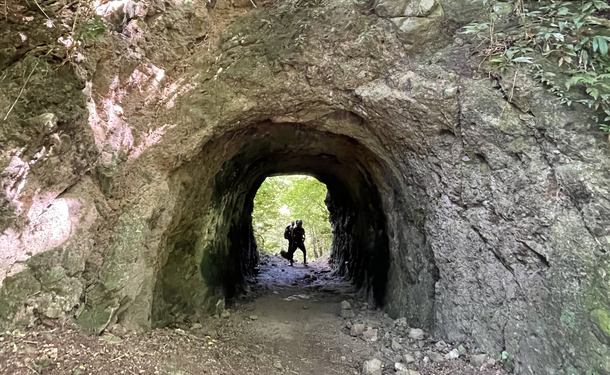An unforgettable hike from Anse Couleuvre to Grand Rivière