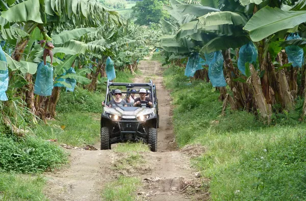 Escapade exotique en buggy dans le Nord