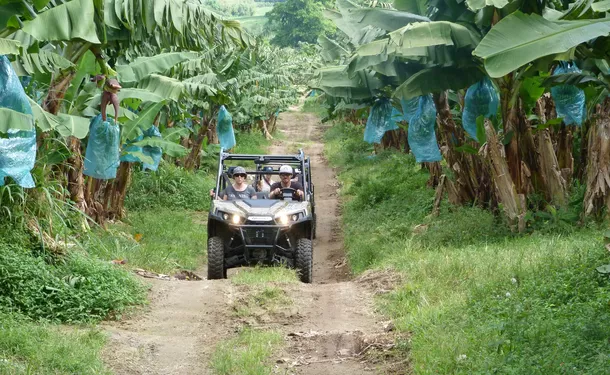 Exotic buggy trip in the North