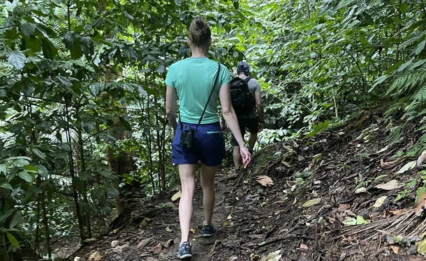 An unforgettable hike from Anse Couleuvre to Grand Rivière