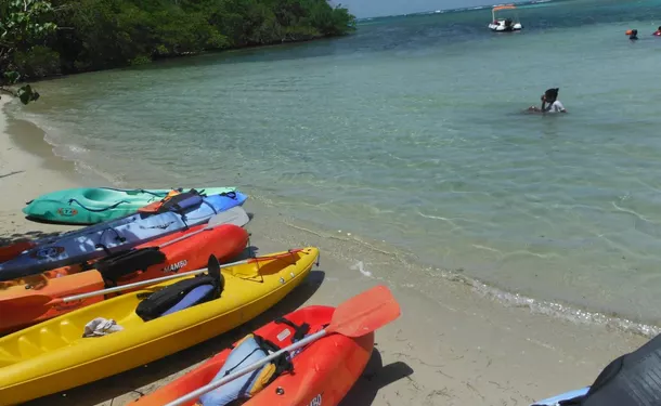 Kayak rental - trip to the Chancel islet and the mangrove