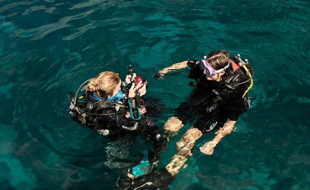 Scuba diving - Discovering the seabed