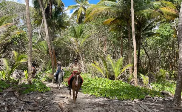 Balade à cheval le long de la côte littorale de l'anse Macabou