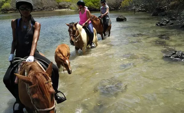 Horseback riding along the coastline of Macabou Cove