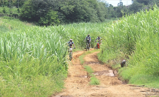 Guided tropical bike ride