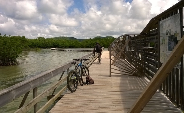 Randonnée tropicale guidée à vélo électrique