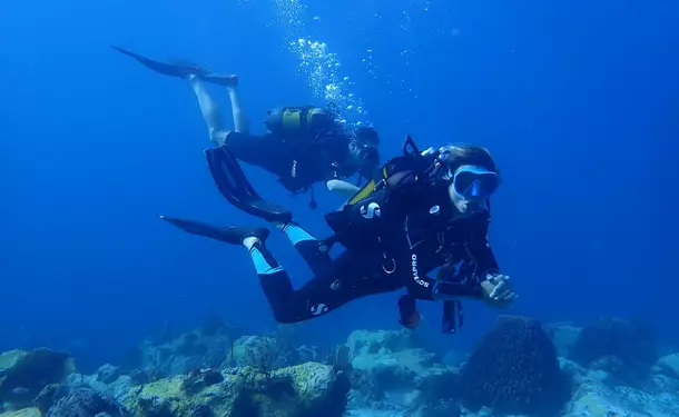 Baptême de plongée - A la découverte des fonds marins
