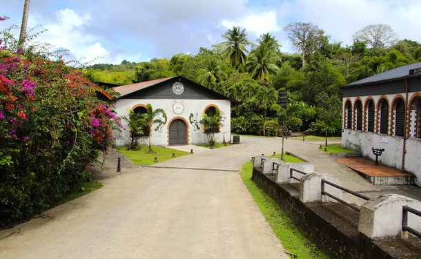 The HSE Distillery