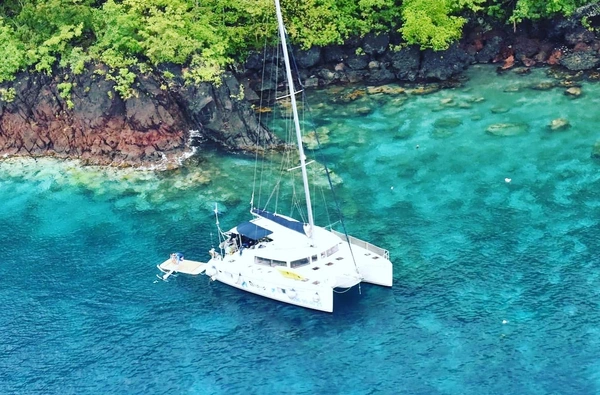 Catamaran, dolphin and diving day for a maximum of fun