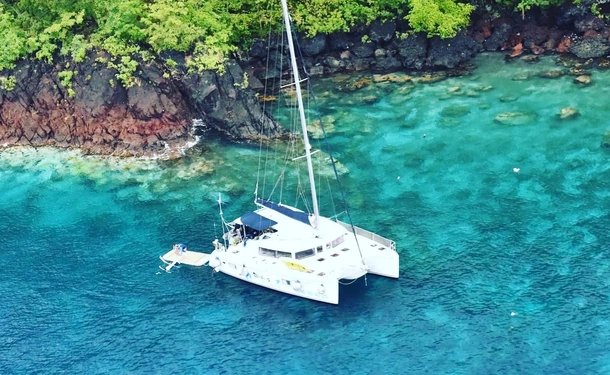 Journée catamaran, dauphin et plongée pour un max de fun