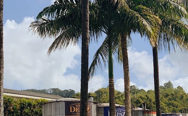 La Distillerie Depaz