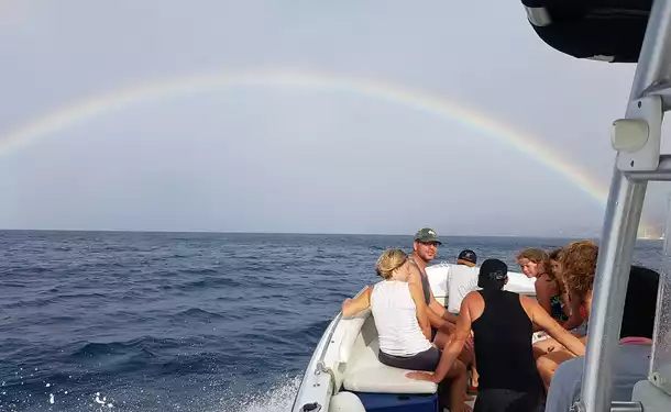 Observation des dauphins et découverte du littoral 