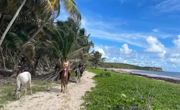 Horseback riding along the coastline of Macabou Cove