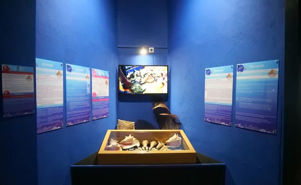 Sea Museum of Martinique