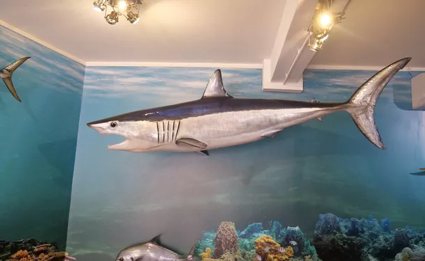 Sea Museum of Martinique