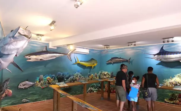 Le Musée de la Mer