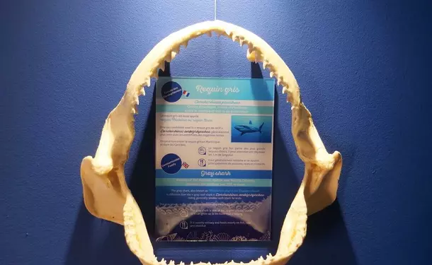 Sea Museum of Martinique