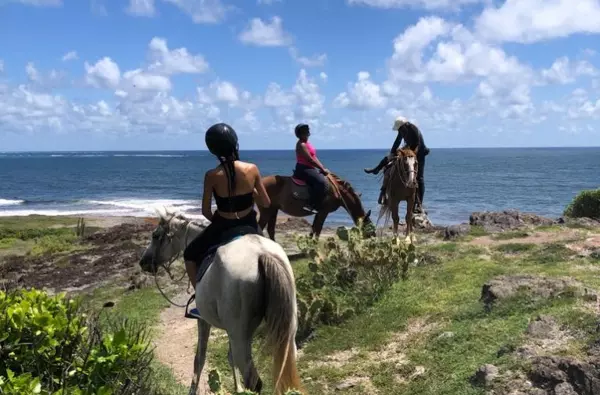 Horseback riding along the coastline of Macabou Cove