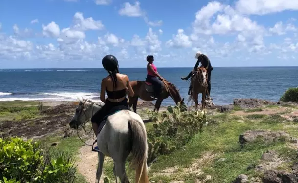 Horseback riding along the coastline of Macabou Cove