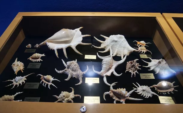 Sea Museum of Martinique