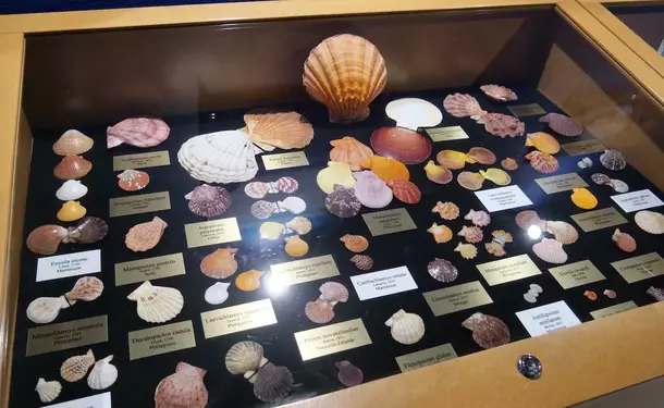 Sea Museum of Martinique