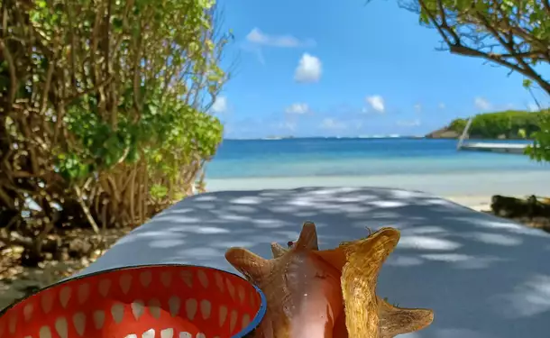 Journée détente & massage (duo) sur l'îlet Chevalier