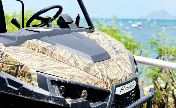 Tropical buggy adventures in the South