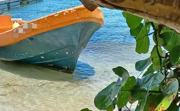Relaxation day &amp; massage (duo) on Chevalier Island