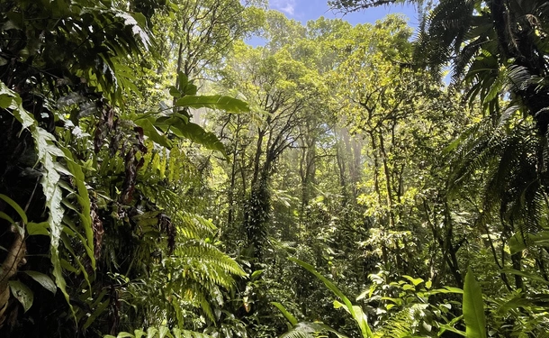 Discovering the Jesuit Trail