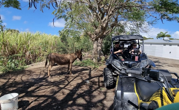 Tropical Quad and Buggy Adventure in Saint-François