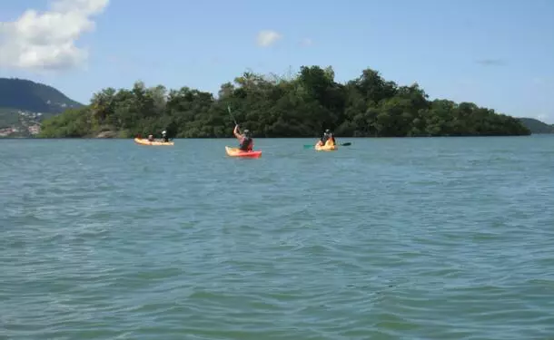 Balade en kayak à l'îlet Chancel et la mangrove