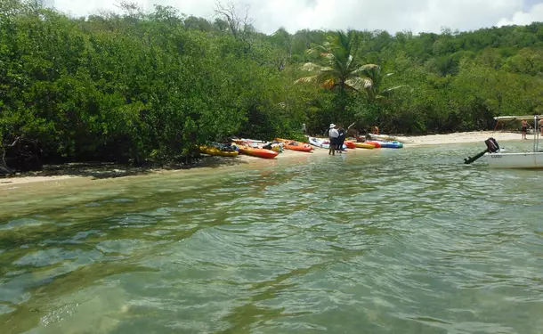 Balade en kayak à l'îlet Chancel et la mangrove