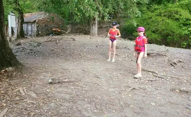 Balade en kayak à l'îlet Chancel et la mangrove