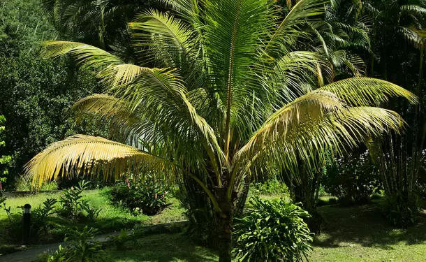 Le Domaine d'Émeraude
